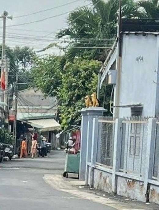 Hiện trường gần khu vực b&eacute; g&aacute;i bị s&aacute;t hại. Ảnh: VD