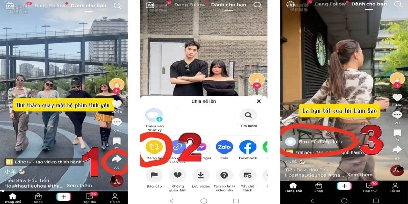 Cách đăng lại trên TikTok đơn giản trong 3 thao tác