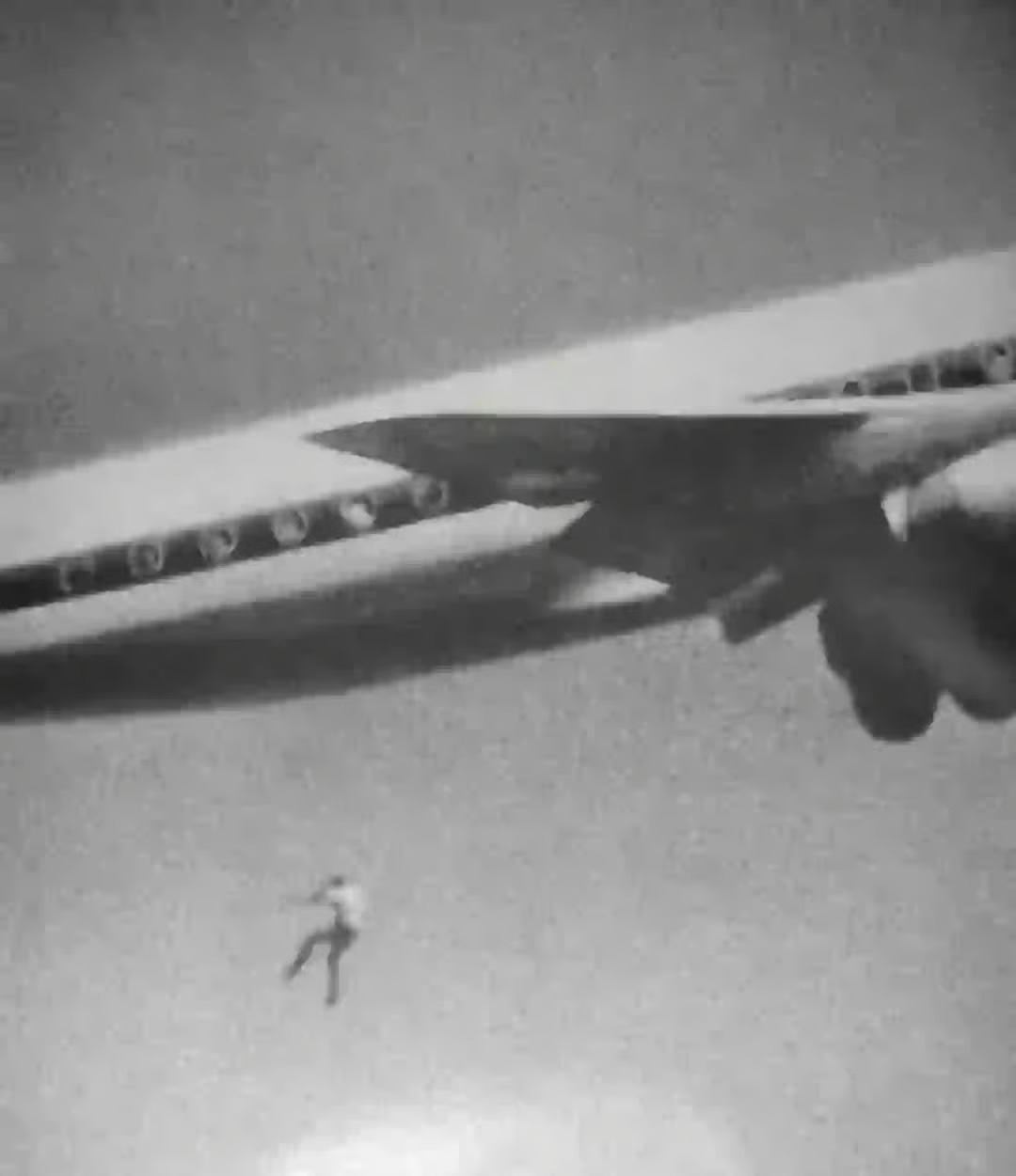 Bức ảnh kinh hoàng và thương tâm vô tình được chụp lại