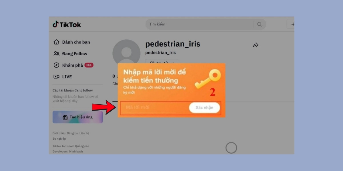 Nhập mã để nhận phần thưởng tương ứng mà TikTok dành cho bạn