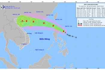 bao-wipha-ap-sat-bien-dong-di-chuyen-nhanh