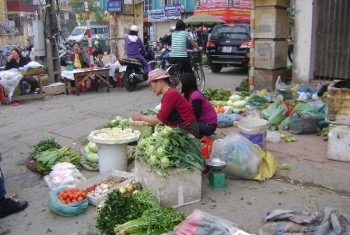 ha-noi-xoa-so-cho-tam-cho-coc-trong-nam-2025