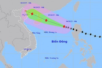 thong-tin-moi-nhat-ve-bao-matmo-con-bao-so-11